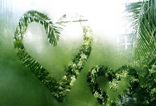 星空体育下载啊-赛地聚焦——荷甲清晨热度飙升；勒沃库森遗憾出局；球迷炸锅；临场指挥获称赞的简单介绍-星空体育下载啊